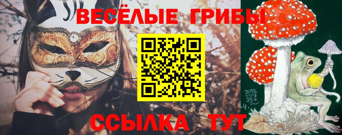 Псков  Галлюциногенные грибы ЛСД  Вход с VPN  Галлюциногенные грибы Magic Shrooms 