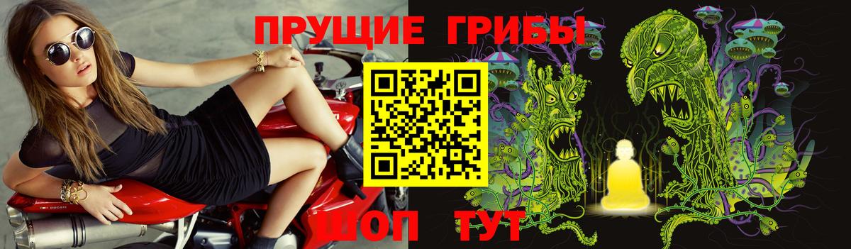 Галлюциногенные грибы прущие грибы Псков